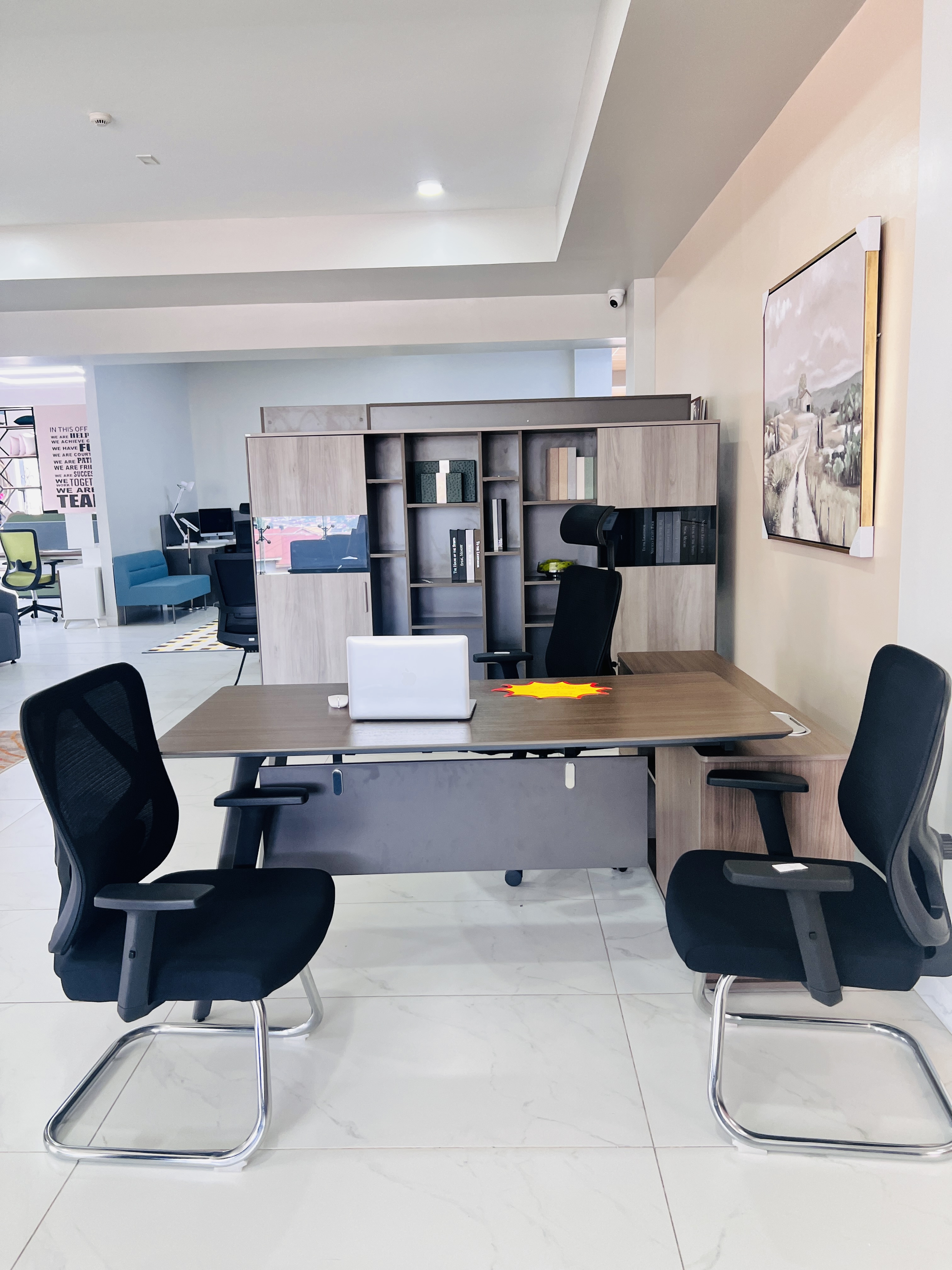 Furnished office with executive desk, ergonomic chairs and wall art
